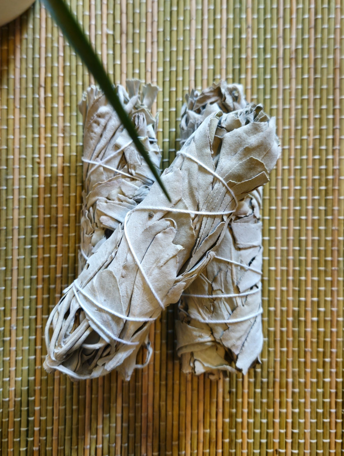 Californian White Sage Stick